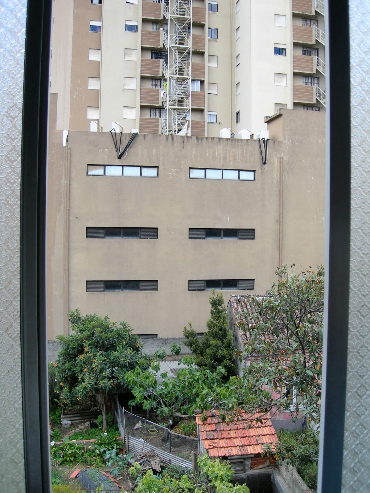 [FSCN8185.JPG]