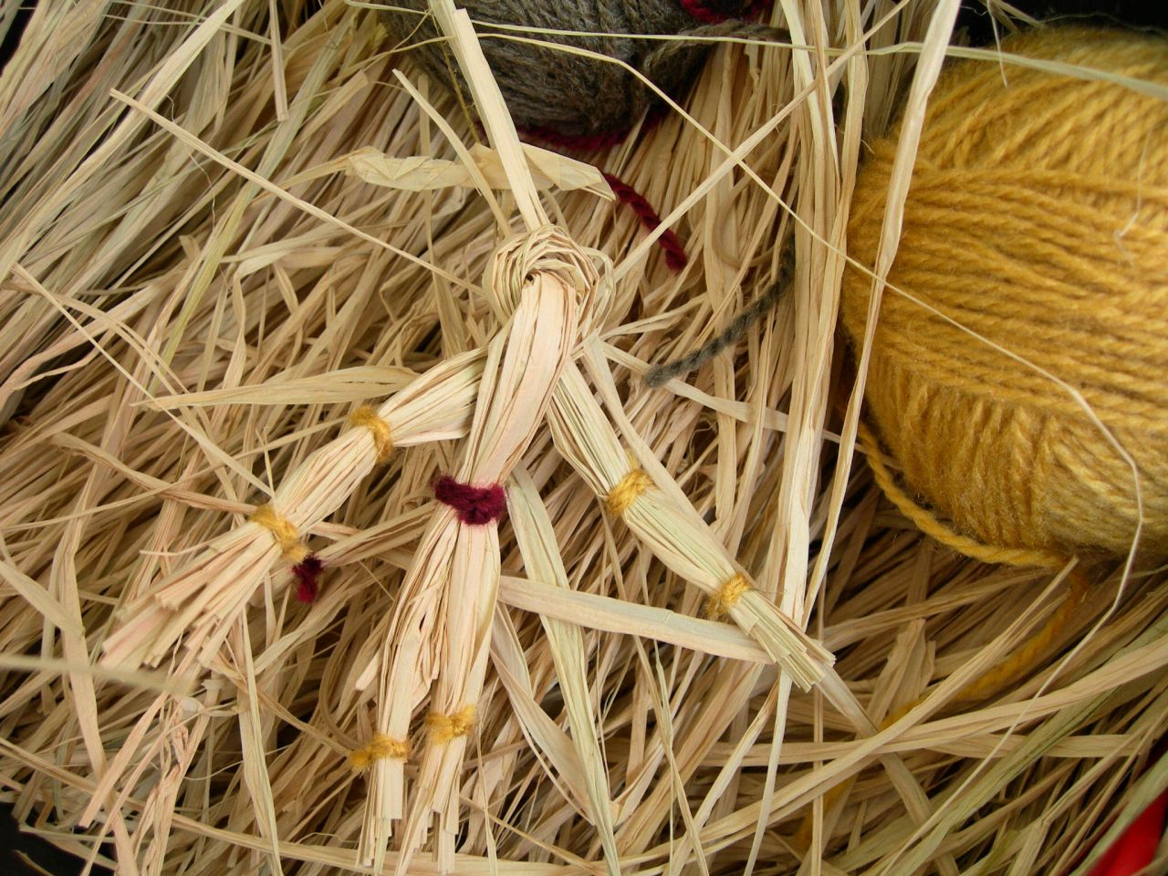 [FSCN8883.JPG]