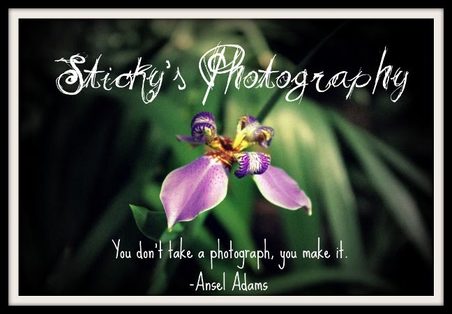 Sticky's Photography