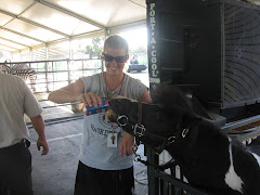 Champ Drinking A Pepsi