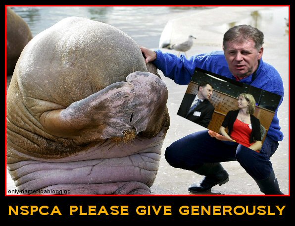[NSPCA.jpg]