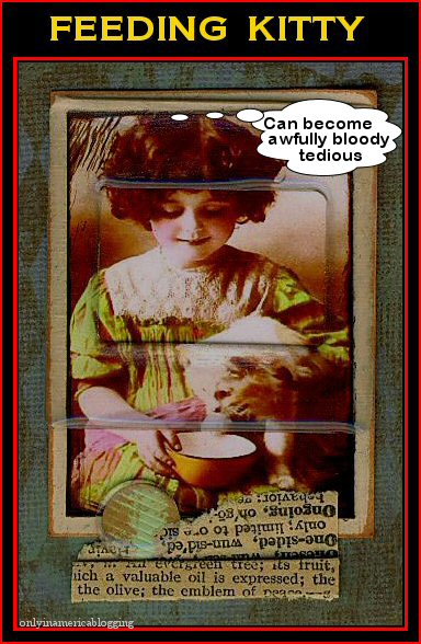 [feeding_kitty.jpg]