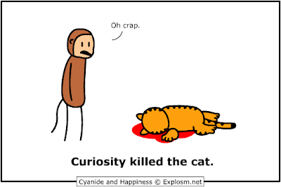 curiosity-killed-the-cat.png