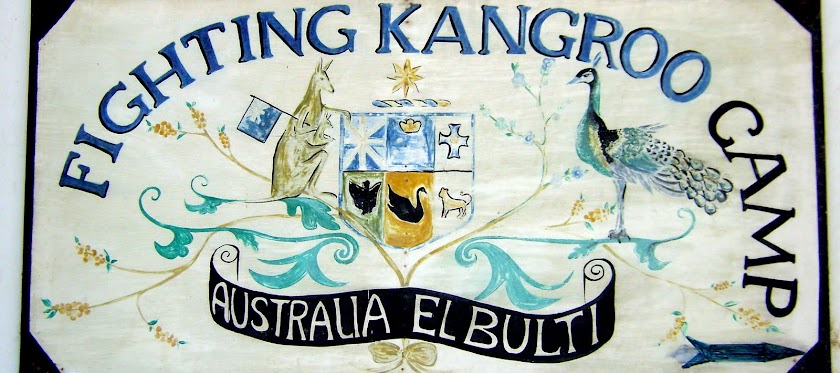 Fighting Kangaroo