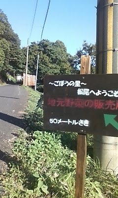 [20091022150506-711316.jpg]