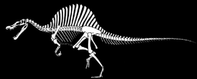 [001spinosaurus.gif]