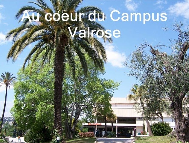 Université Côte d'Azur - BU Sciences