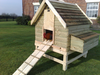 Plastic Chicken Coop