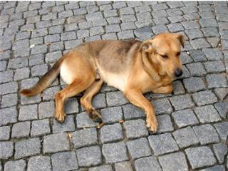 [GetAttachment.aspx.jpg]