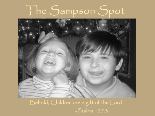 Sampson Spot