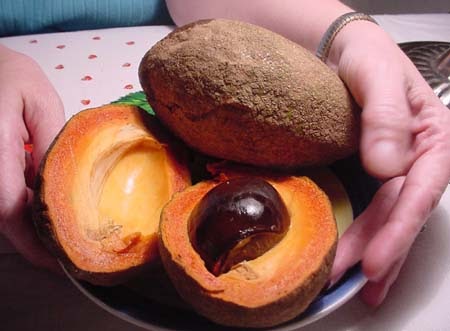 Diario de IQT: ELOGIO DE NUESTRAS FRUTAS