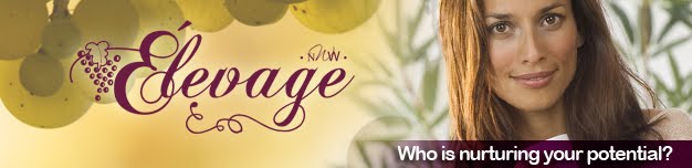 Elevage with Networking Women and Wine