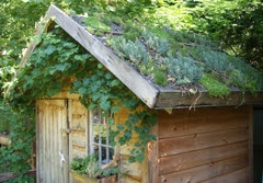 Living Roof Shed