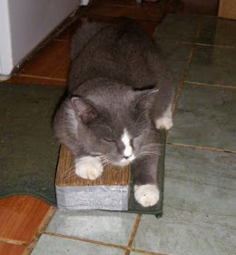 scratching