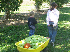 harvesting...each other with love