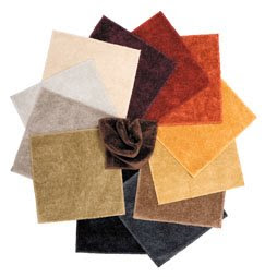 Carnegie Fabrics Driscoll Line