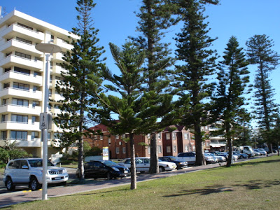 DSC02420 DSC02420 Manly Beach DSC02420