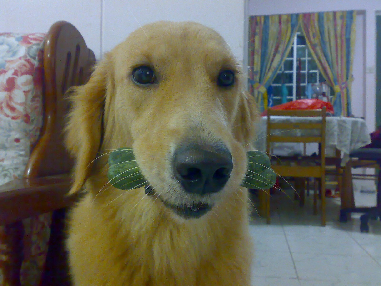[08022007297.jpg]