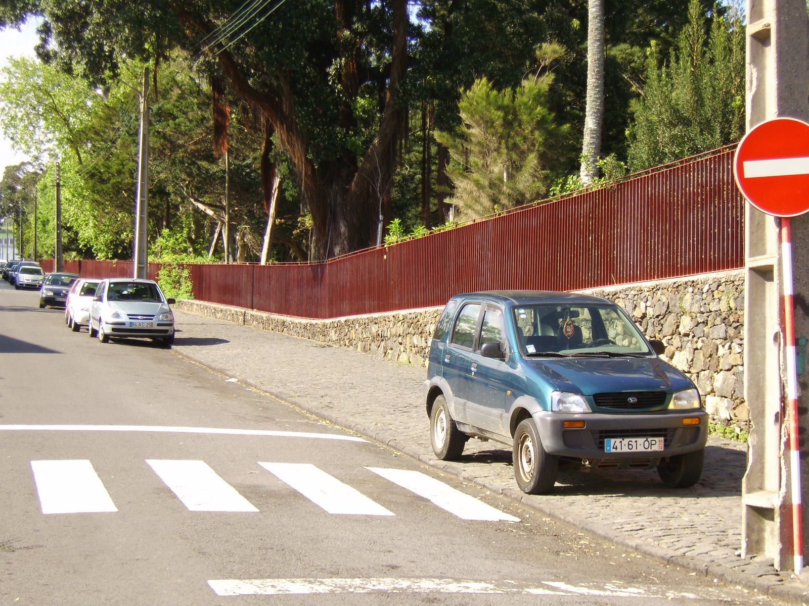 [DSCI0065.JPG]