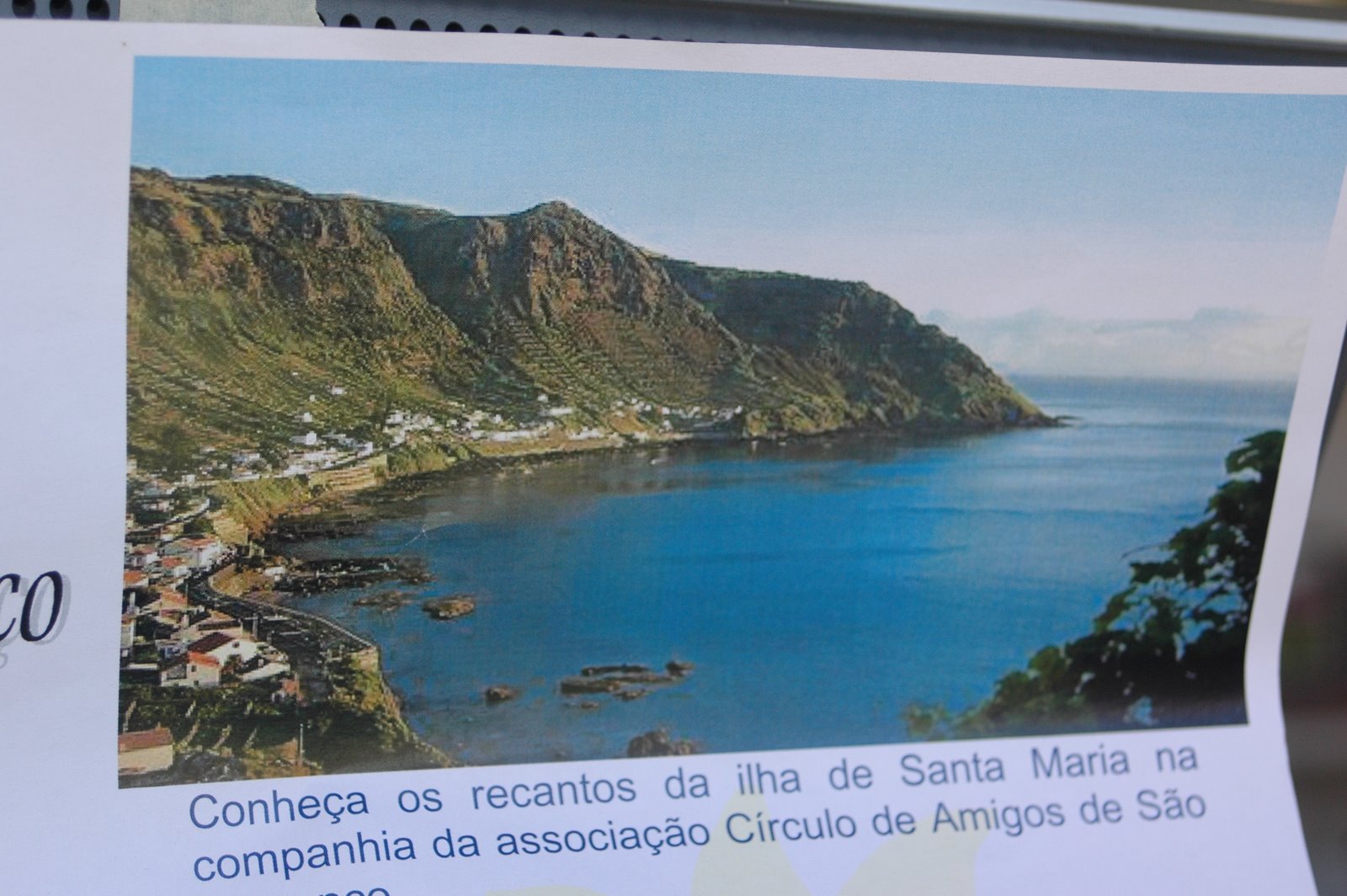 [DSC_1174.JPG]