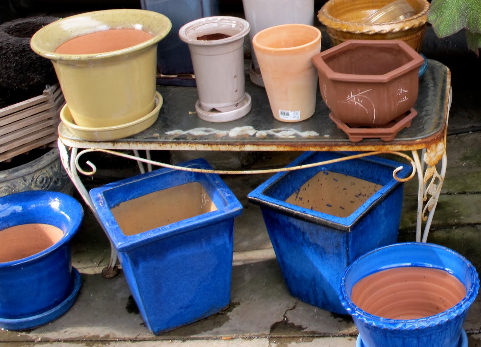 [pots.JPG]