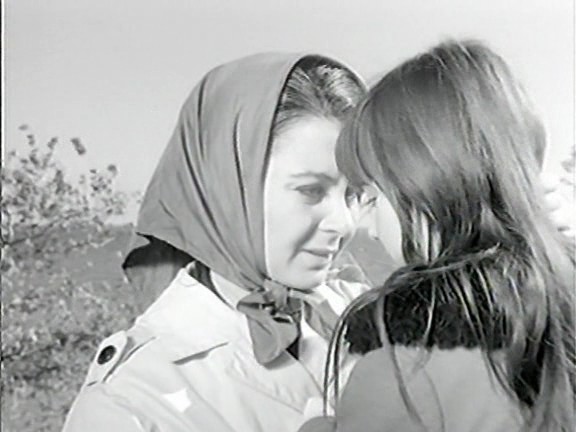 [bscap0015.jpg]