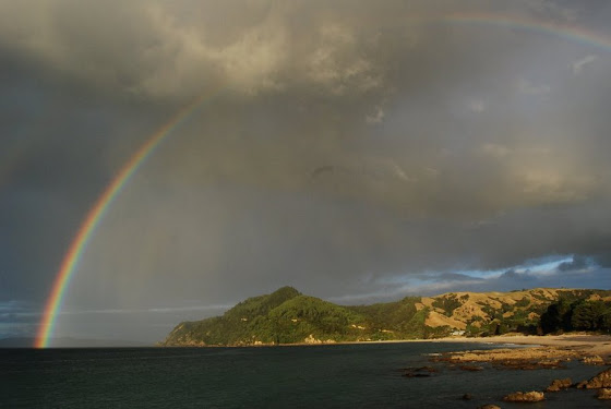 Así se ve Coromandel