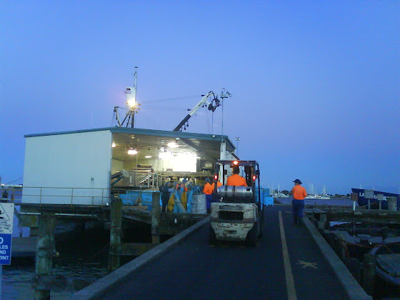 Fish Factory - Tauranga - Nueva Zelanda