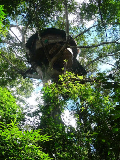 Así se ve desde abajo la casa de árbol acá en Laos, increíble