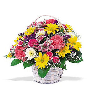 Types Of Flowers : Identifying Different Types of Flowers