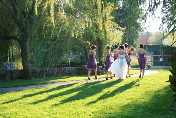 [bridesmaids.jpg]