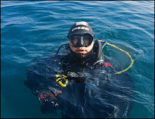 Mi gran afición, el buceo