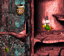 Donkey Kong Country Forever Dkc3 Springin Spiders