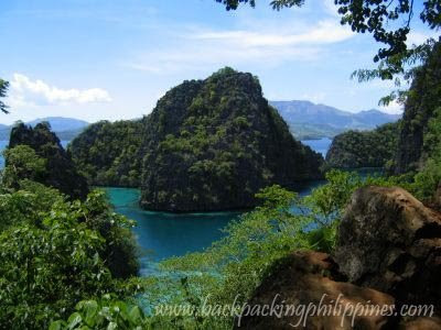 banyan tree philippines