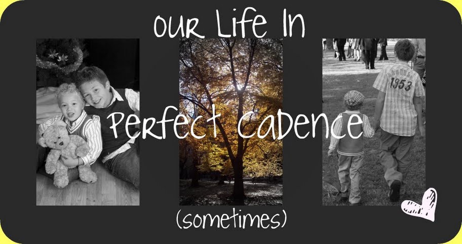 our life in perfect cadence