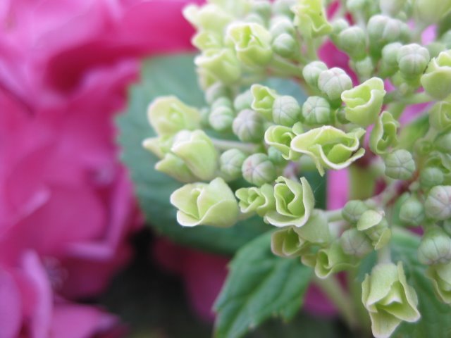 [gardendecoration005.jpg]