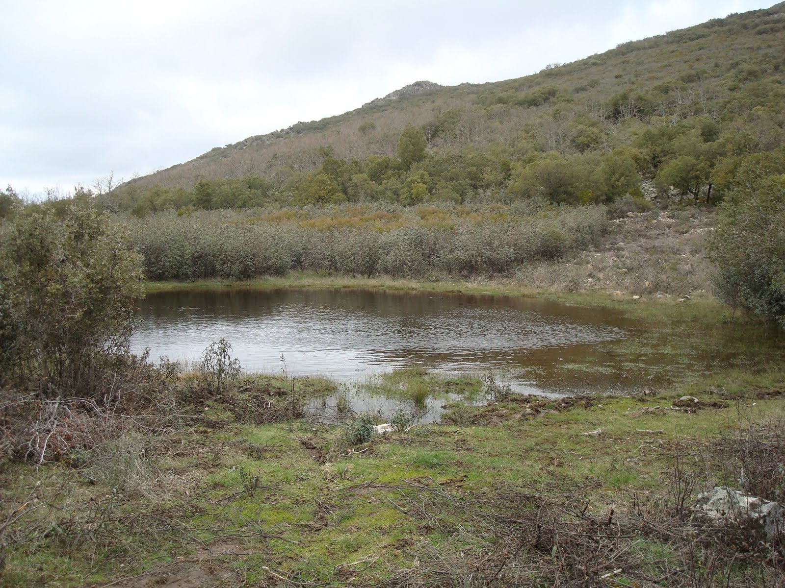 EL HOMBRE DE LAS TIERRAS ALTAS: mayo 2010
