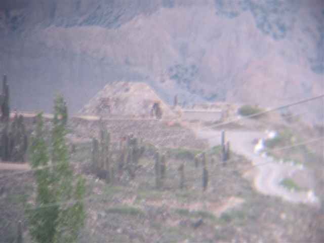[IMG_6533-722131.JPG]