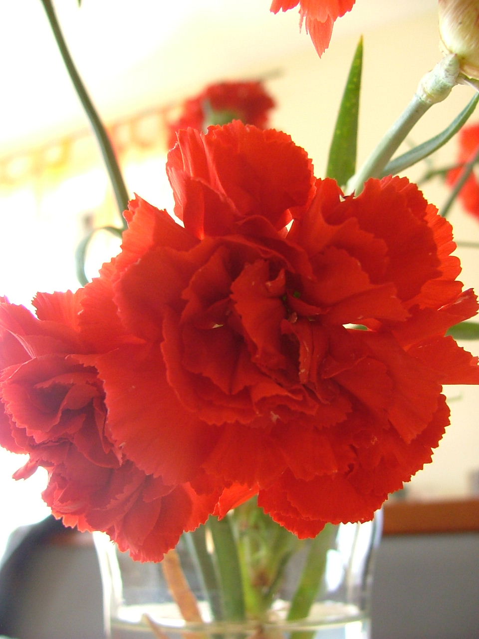 [2007_0425Image0003.JPG]