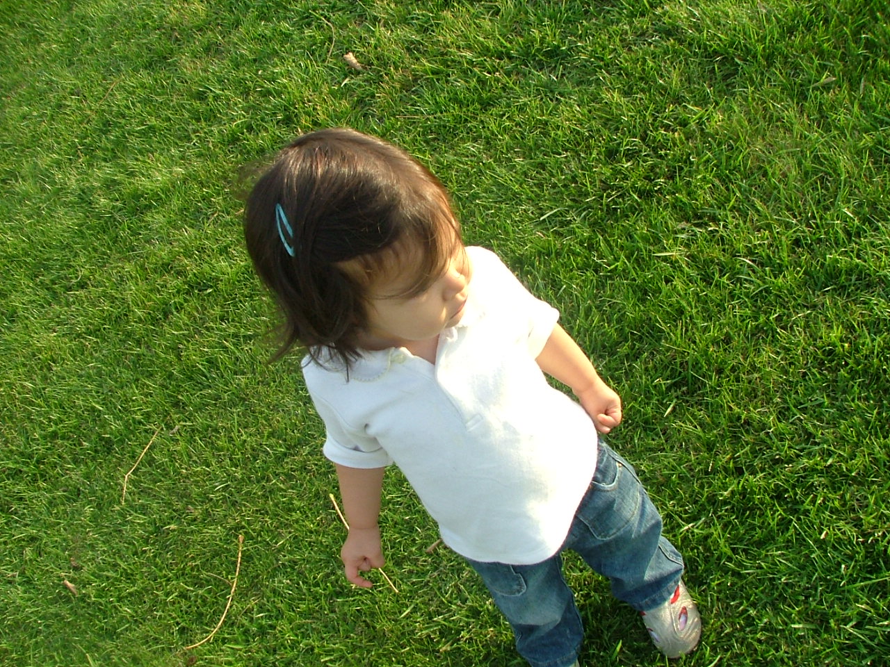 [2007_1017Image0012.JPG]