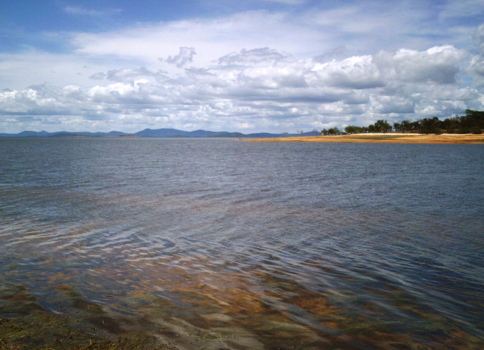 [IMAG0071.JPG]