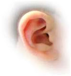 one million ears project