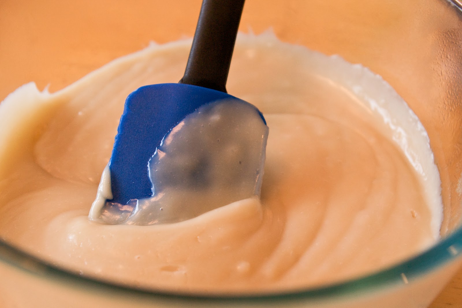 FoodWise Nutrition Coconut Vanilla Pudding (DairyFree!)