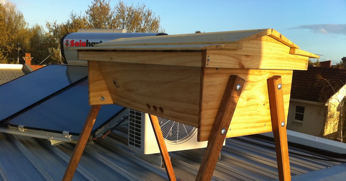 The Urban Hive Rooftop Beekeeping in Richmond