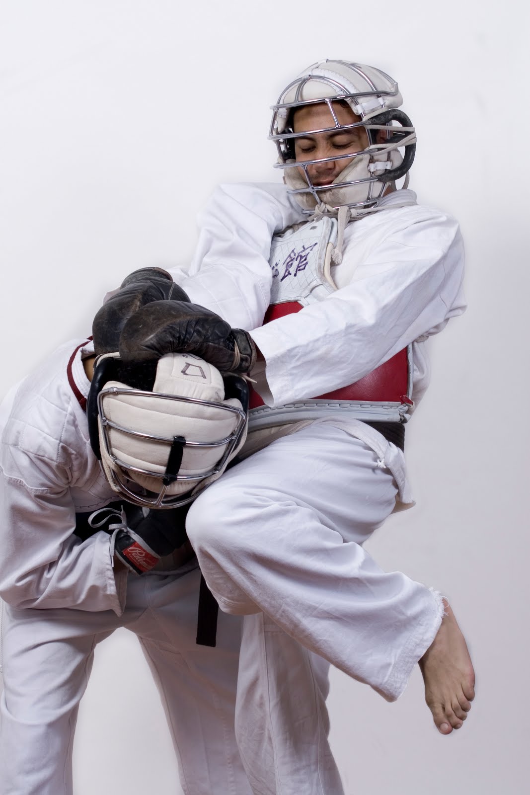 NIPPON KEMPO "TATE NO KAI" NIPPON KEMPO TATE NO KAI