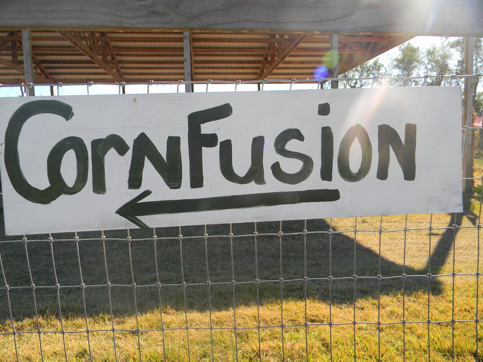 The "Unknown" Florida Zellwood Corn Maze Long & Scott's Farm