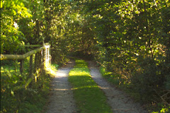 The Lane where I live...