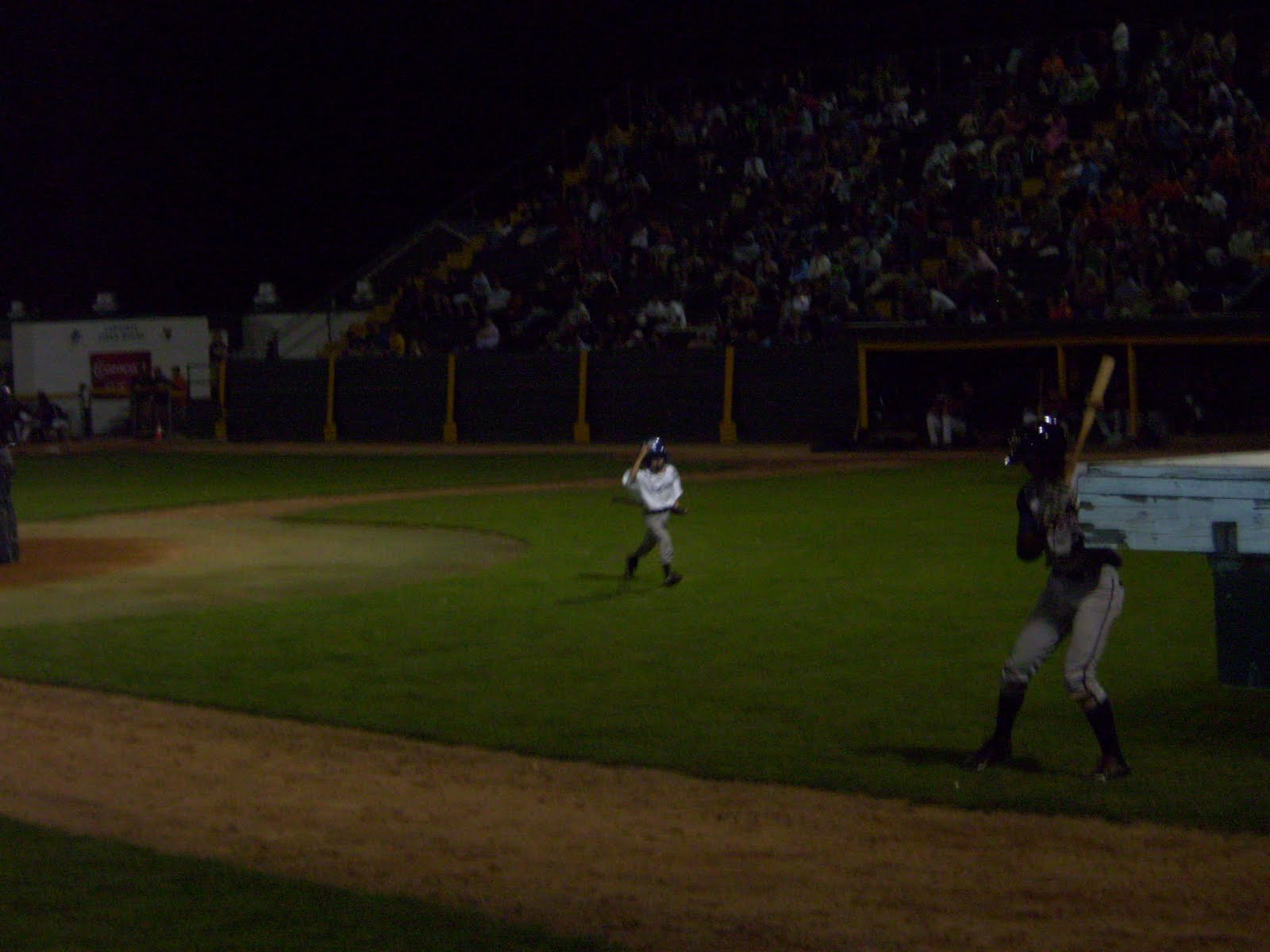 Decor4poor Vermont Lake Monsters Game