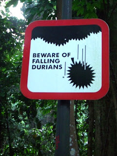Falling+Durians.JPG
