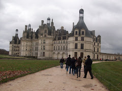 Chateaux are sick!